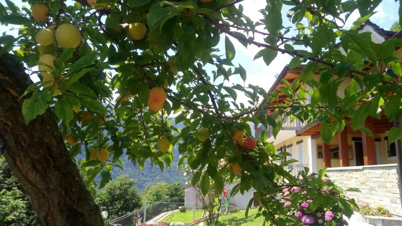 Cat Marvei Διαμέρισμα Villadossola Εξωτερικό φωτογραφία